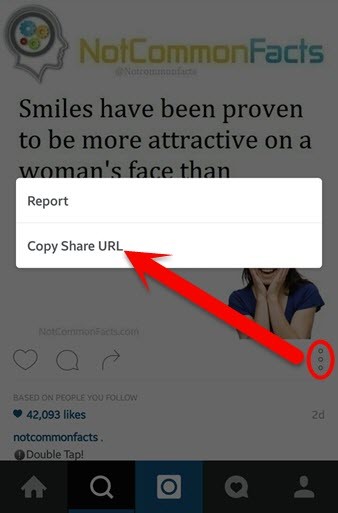 Download Instagram photos and videos? - wikigain