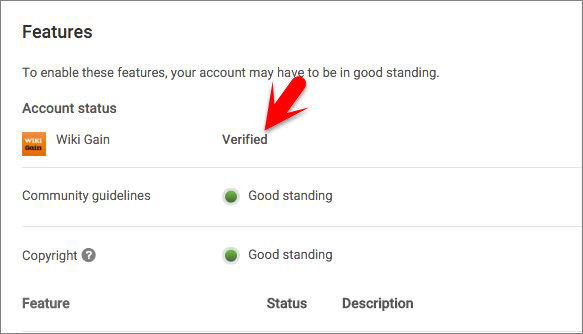 How to Verify YouTube Account or Channel  - 41