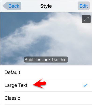 How to Enable Subtitles and Captioning on iOS Devices  - 65