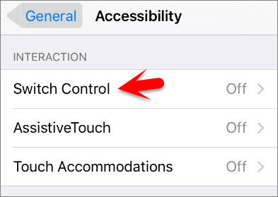 How to Enable and Use Switch Control On iOS Devices  - 36