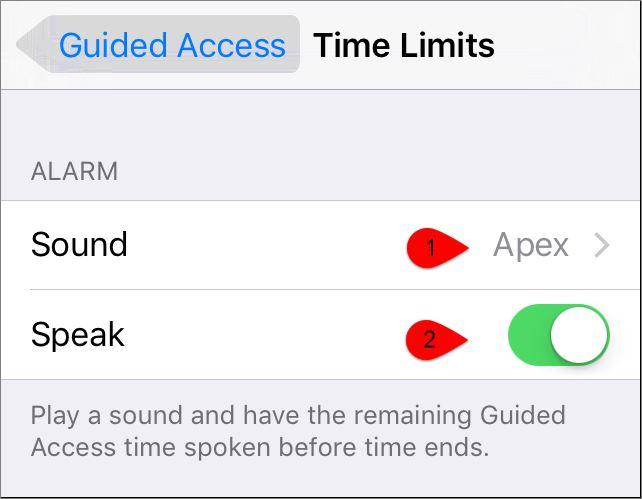 How to Setup and use Guided Access on iOS Devices  - 22