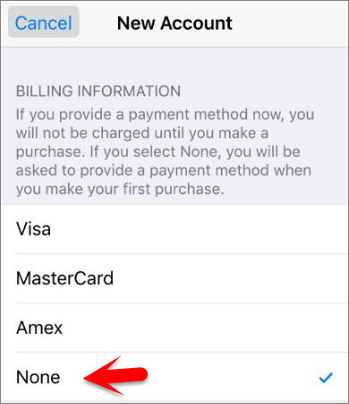 How to Create an Apple ID on iPhone  iPad or iPod Touch  - 51