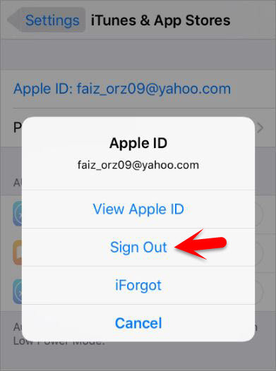 How to Create an Apple ID on iPhone  iPad or iPod Touch  - 15