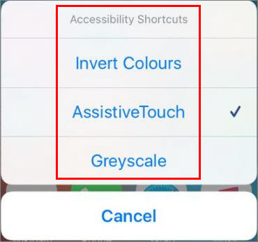 How to Change iOS Devices Screen Color to Black and White  - 68