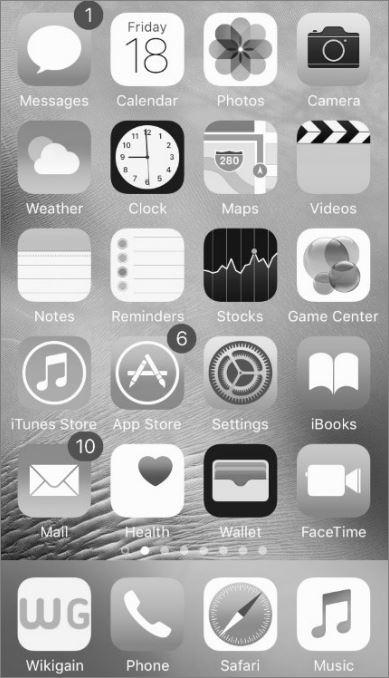 How to Change iOS Devices Screen Color to Black and White  - 8