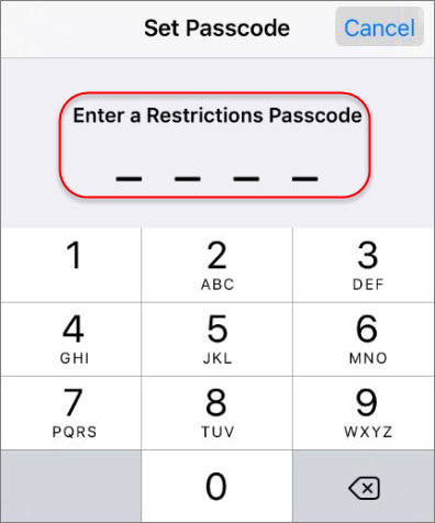 How to Enable and Use Restrictions on iOS Devices  - 23