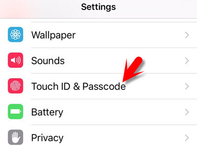 How To Add Passcode On Ios