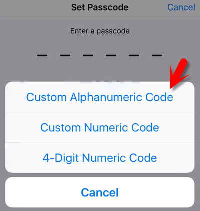 Passcode Options