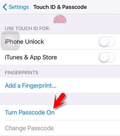 Touch Id And Passcode