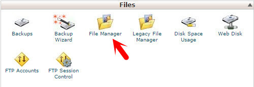 File Manager