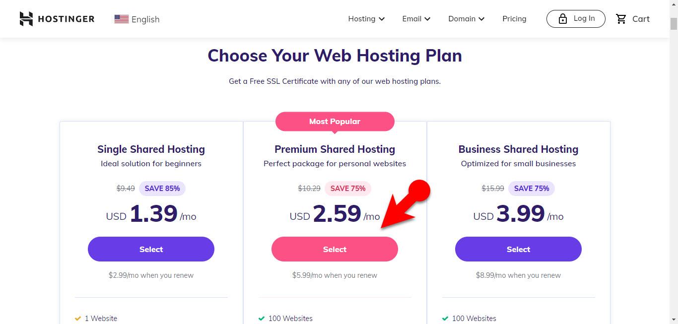 Purchase A Hosting