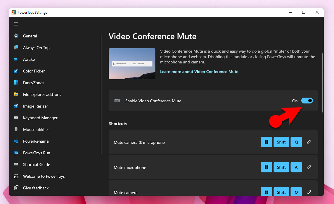 Enable Video Conference Mute