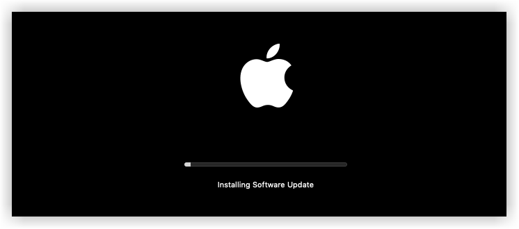 Installing Software Update