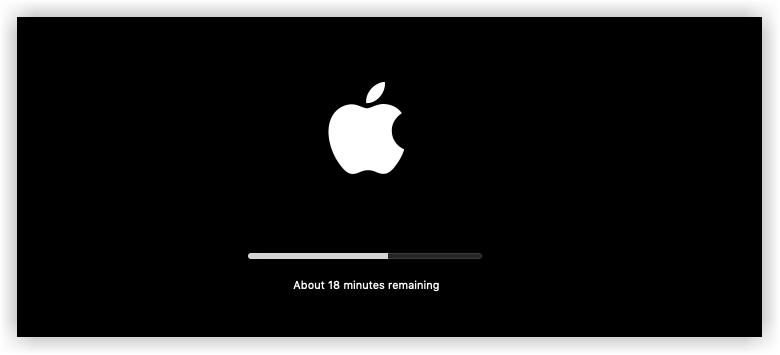 Installing Software Update 1