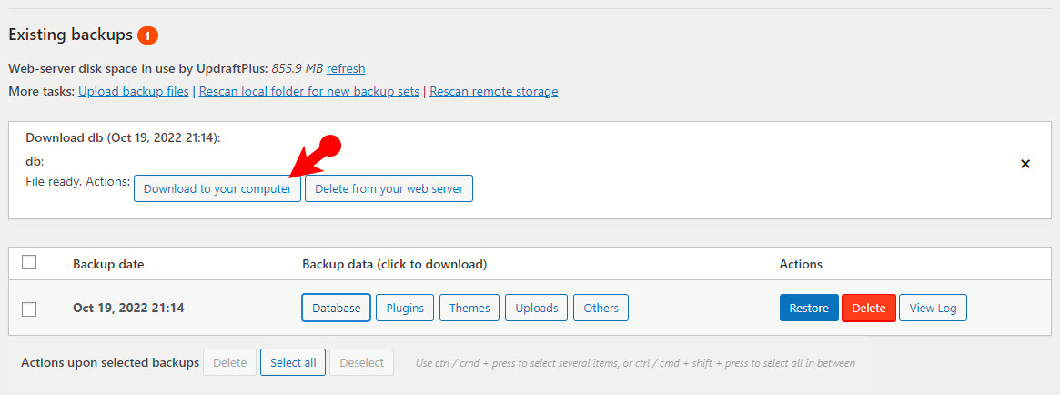 Download Your Website Backup