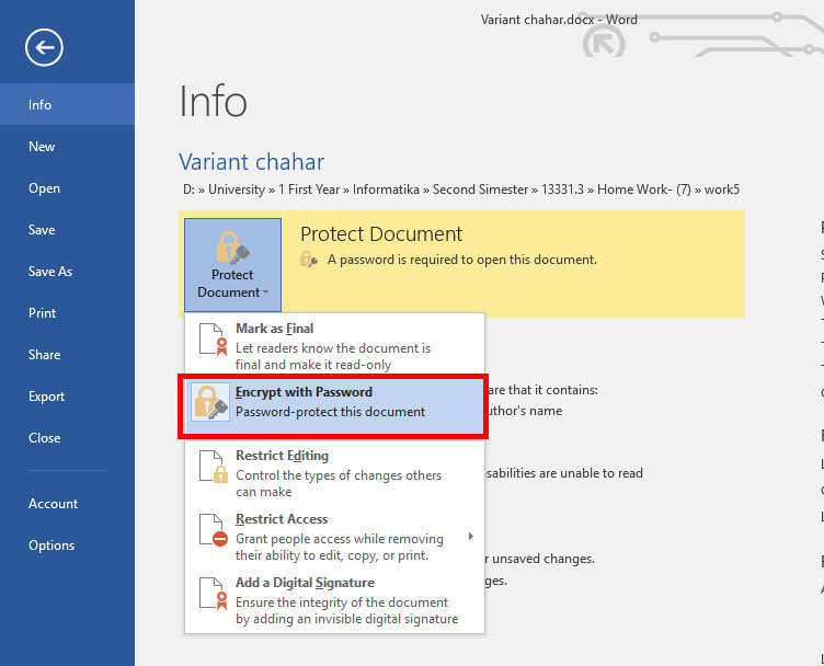 How to Protect Documents in Microsoft Office 2016 - wikigain