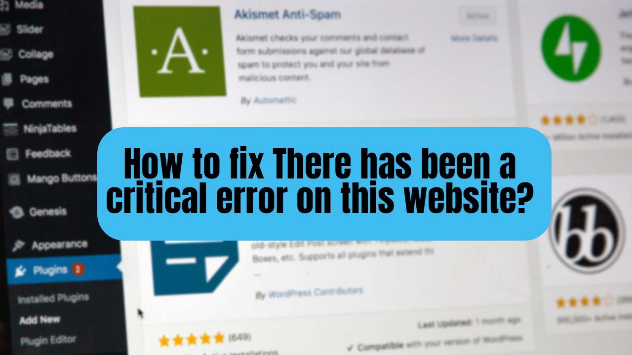 fix There has been a critical error on this website