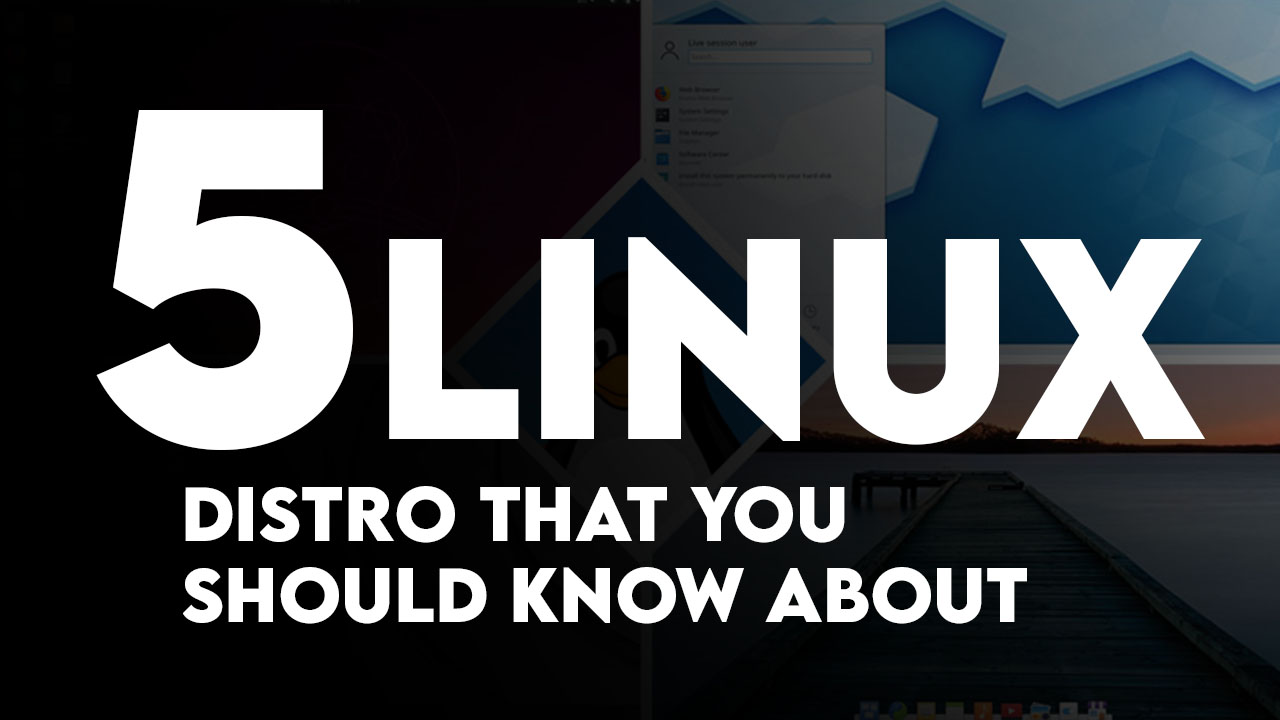 5 Linux Distro that you should know about